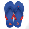 AH-9P059 Solid Color Comfortable V Strap PE Flip Flops for Women